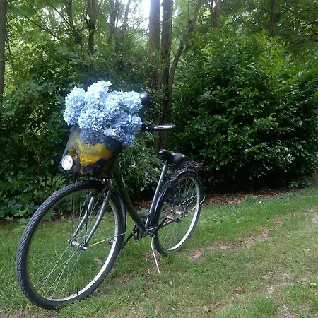 Parque de Campismo Camping Montorfano