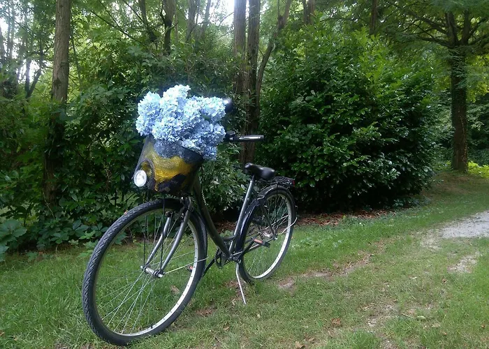 Camping Camping Montorfano